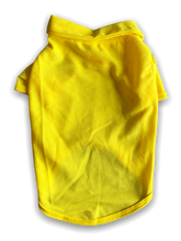 Load image into Gallery viewer, Polo Collared Shirt