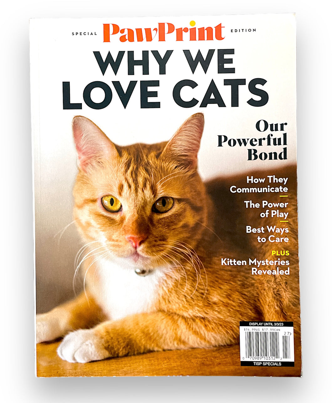 Cats Pawprint: Why We Love Cats