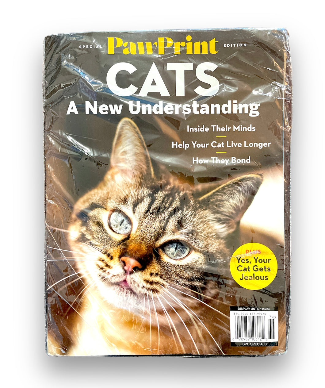 Cats Pawprint: A New Understanding