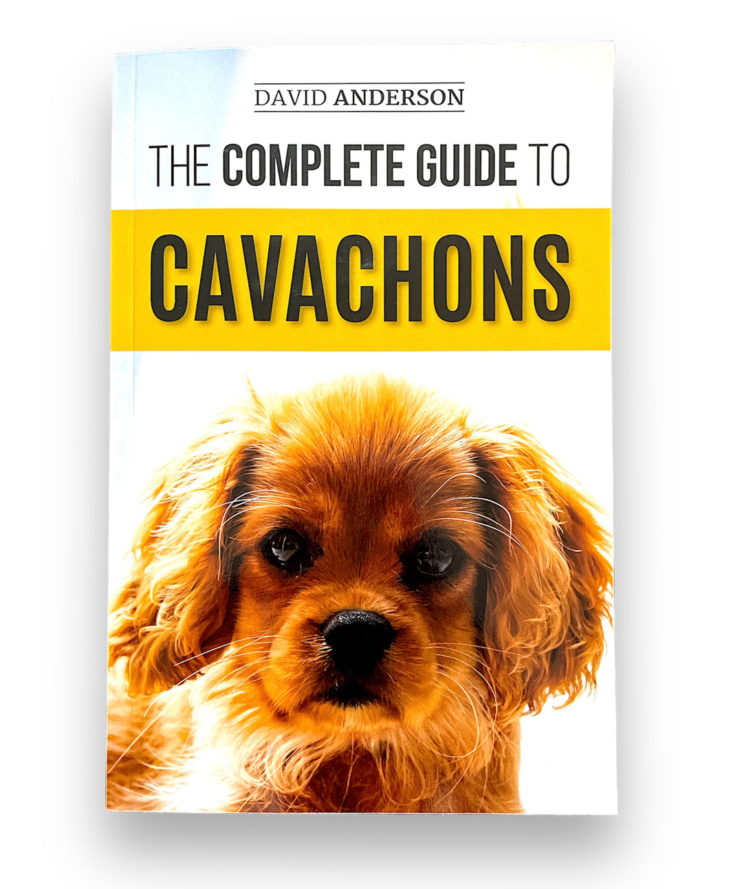 The Complete Guide To Cavachons