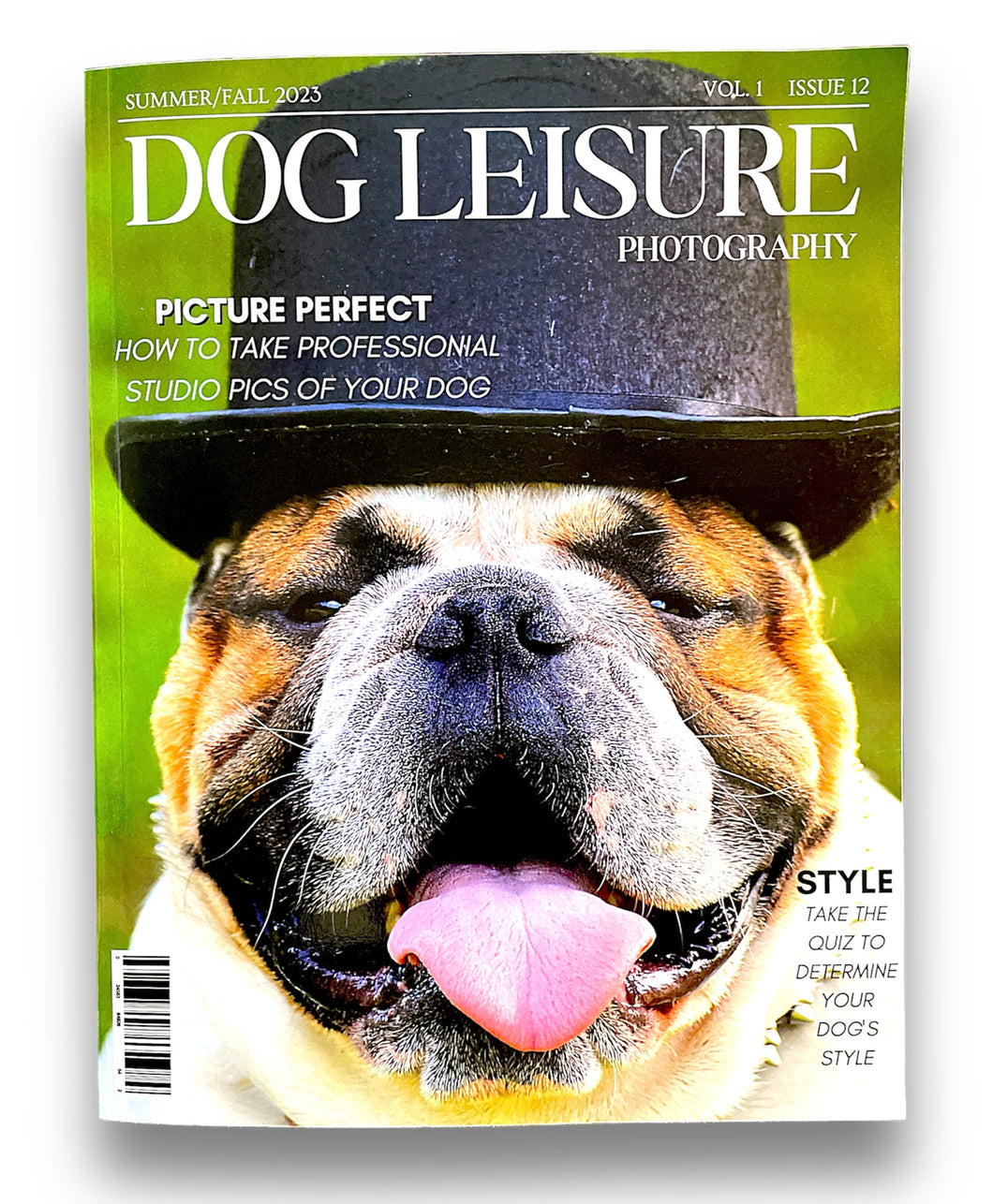 Journal: Dog Leisure Photography