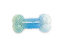 Load image into Gallery viewer, Spike Squeaky Toy Bone
