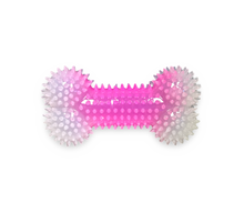 Load image into Gallery viewer, Spike Squeaky Toy Bone
