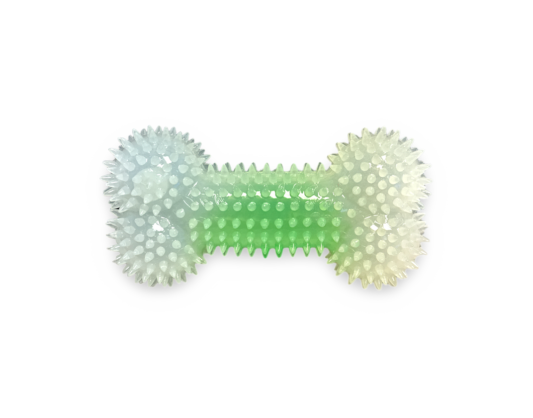 Spike Squeaky Toy Bone