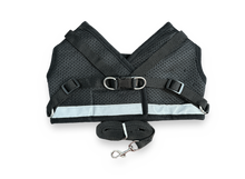 Load image into Gallery viewer, Mesh Harness w/ Leash
