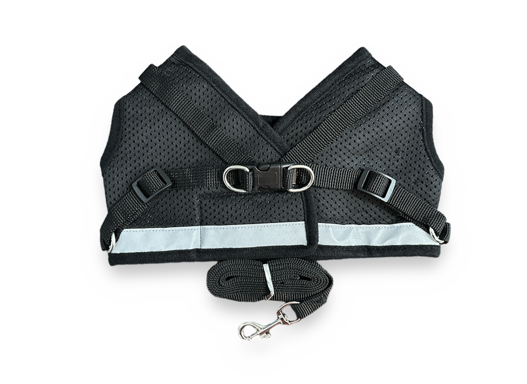 Mesh Harness w/ Leash