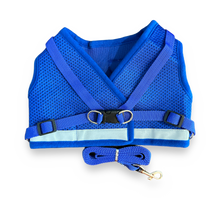 Load image into Gallery viewer, Mesh Harness w/ Leash
