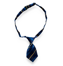 Load image into Gallery viewer, Assorted Ties
