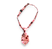 Load image into Gallery viewer, Assorted Ties
