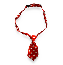 Load image into Gallery viewer, Assorted Ties

