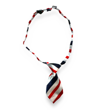 Load image into Gallery viewer, Assorted Ties
