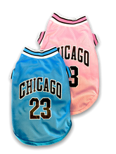 Load image into Gallery viewer, Chicago Mesh Jersey
