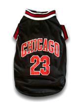 Load image into Gallery viewer, Chicago Mesh Jersey
