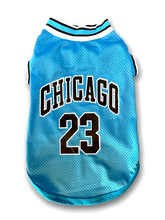 Load image into Gallery viewer, Chicago Mesh Jersey
