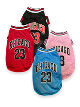 Load image into Gallery viewer, Chicago Mesh Jersey
